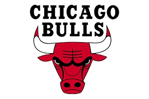 BK8 NBA Chicago Bulls Logo